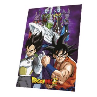 T53-MANTA POLAR DRAGON BALL 140 X 100 CM
