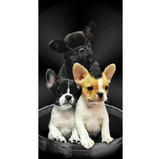 K4-TOALLA PERRITOS 75 X 150 CM